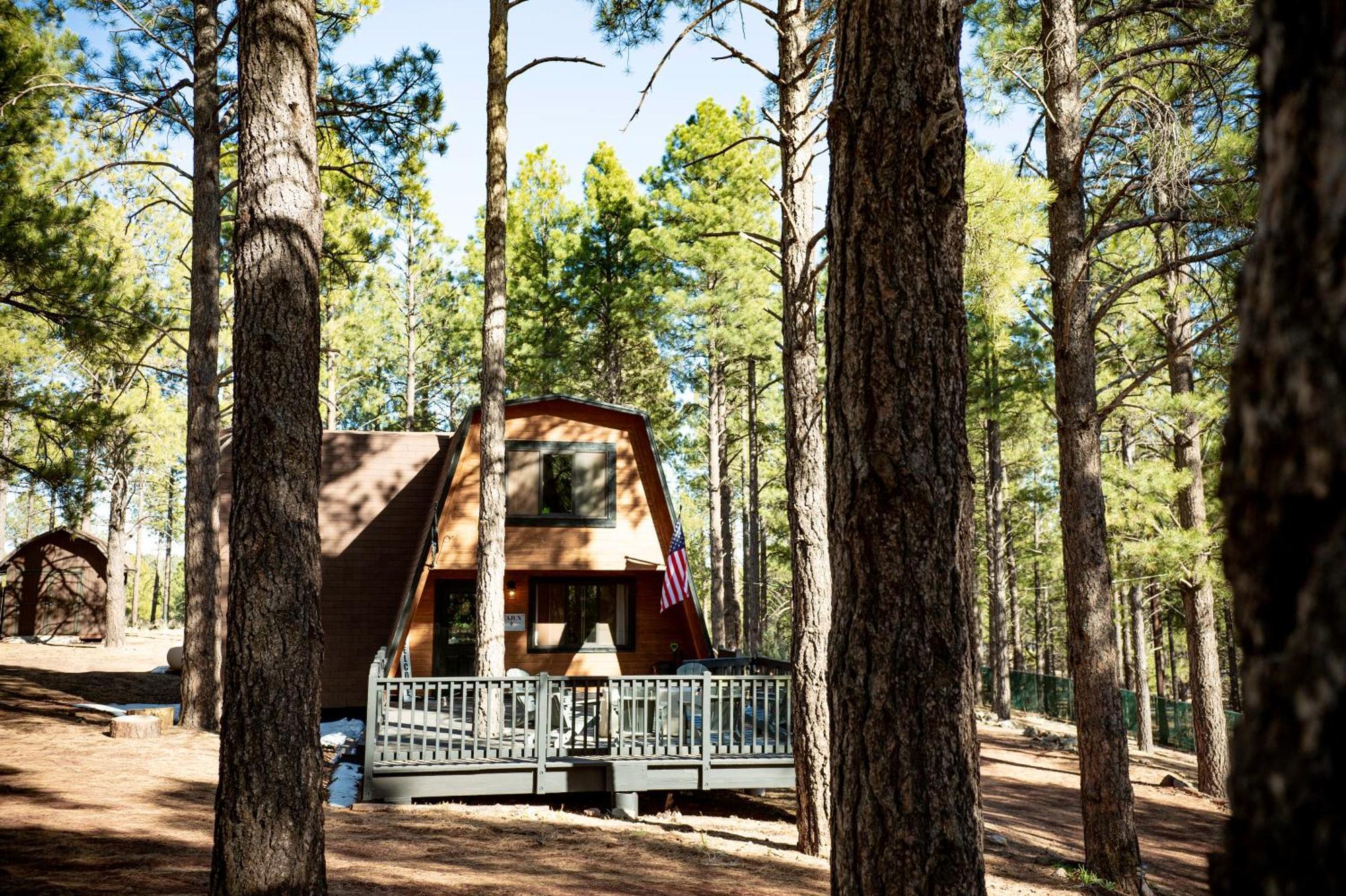 Grand Canyon Cabin! One Hour And 10 Minutes To The South Entrance! 威廉斯 外观 照片