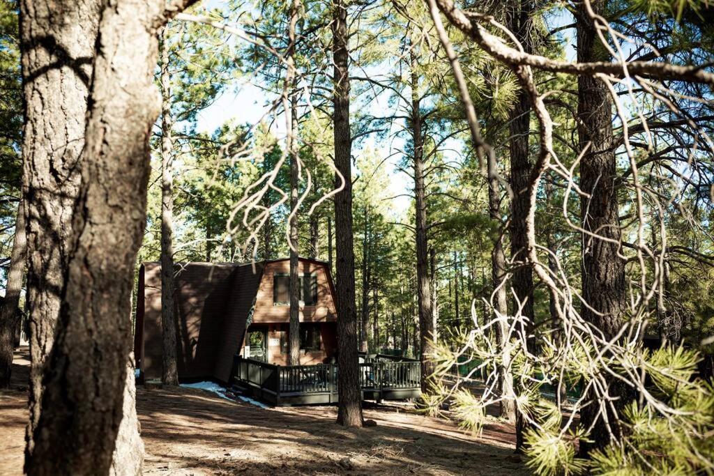 Grand Canyon Cabin! One Hour And 10 Minutes To The South Entrance! 威廉斯 外观 照片