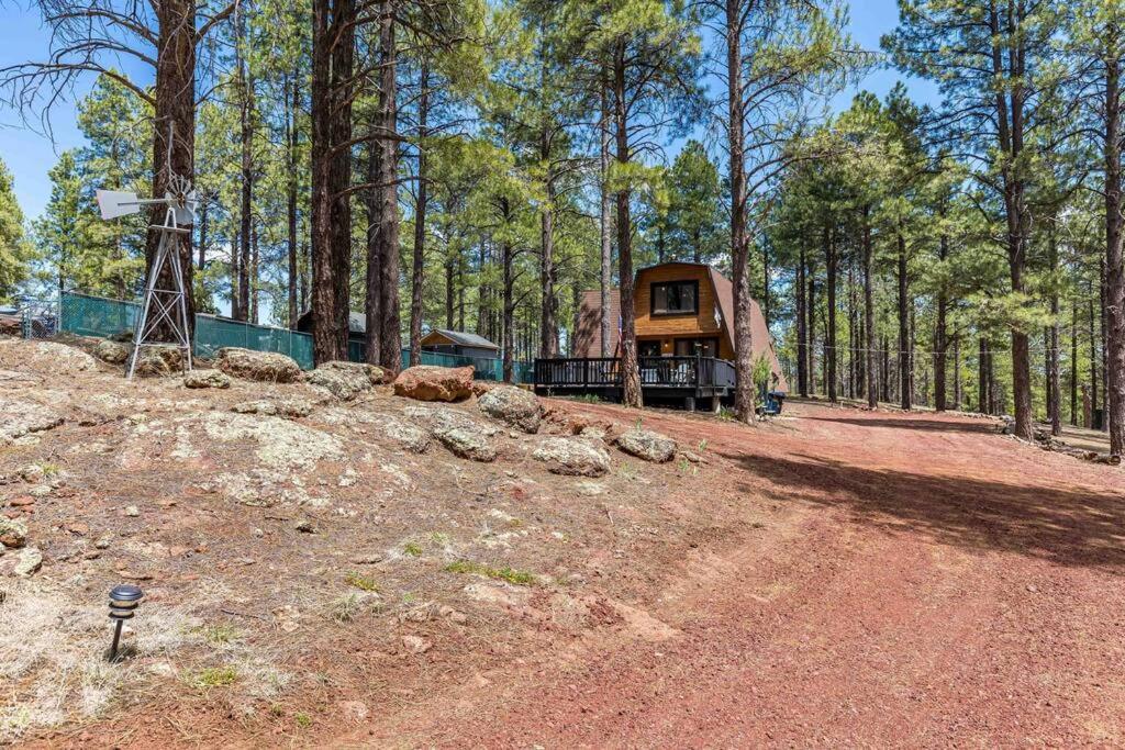 Grand Canyon Cabin! One Hour And 10 Minutes To The South Entrance! 威廉斯 外观 照片