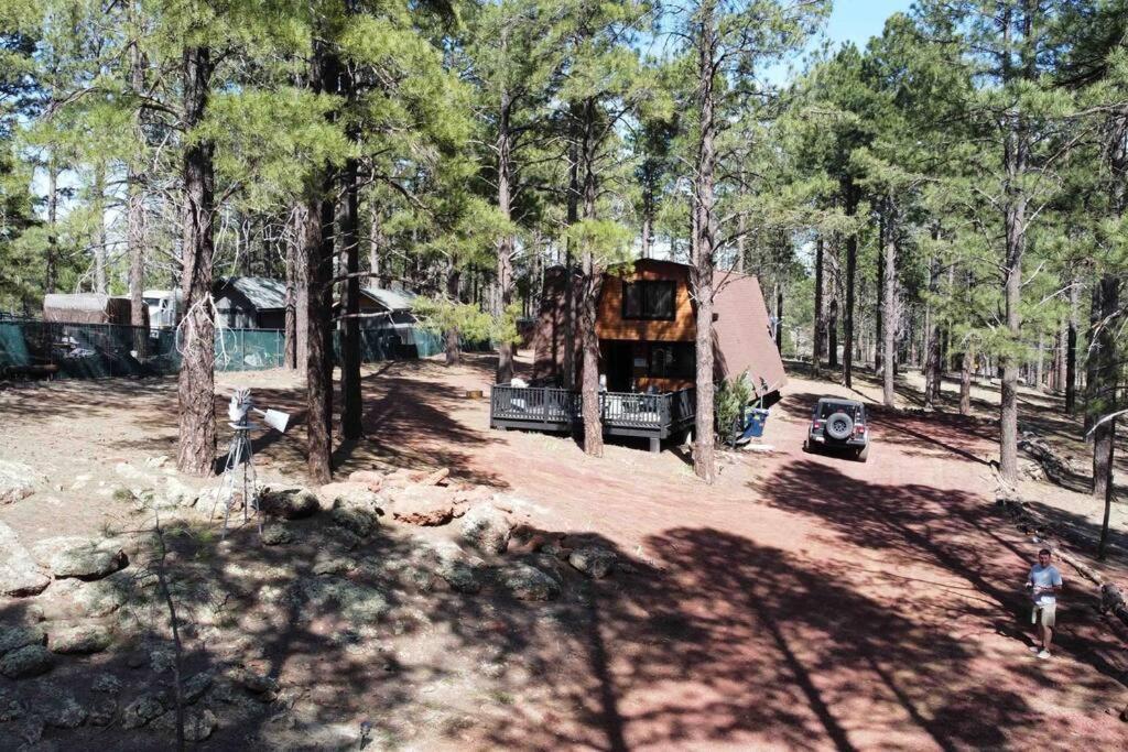 Grand Canyon Cabin! One Hour And 10 Minutes To The South Entrance! 威廉斯 外观 照片