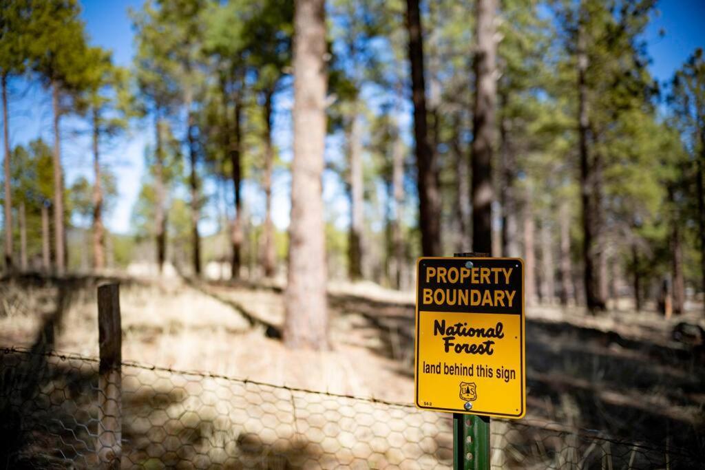 Grand Canyon Cabin! One Hour And 10 Minutes To The South Entrance! 威廉斯 外观 照片